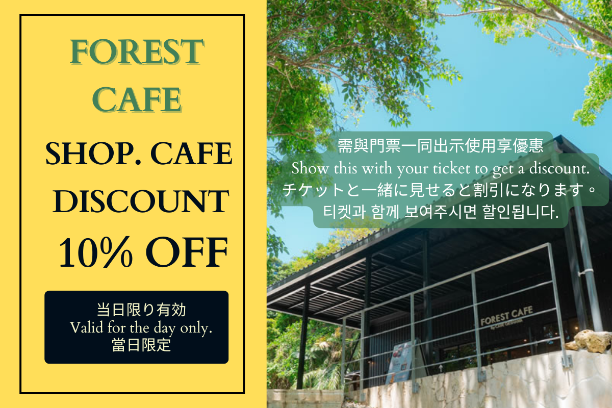 CAVE OKINAWA Forest Cafe  Shop 10% off